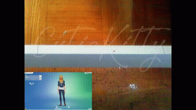 Sims Ignore 1 (Character + House Reveal)