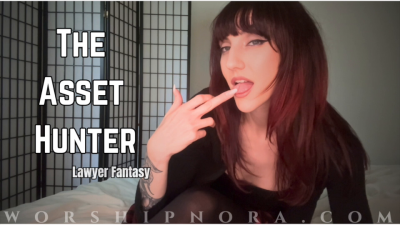 The Asset Hunter Lawyer Fantasy