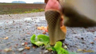 Dangerous Sandals