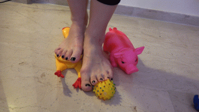 Rosalina Chewing Toys Crushing The Noisy Toys Under My Feet