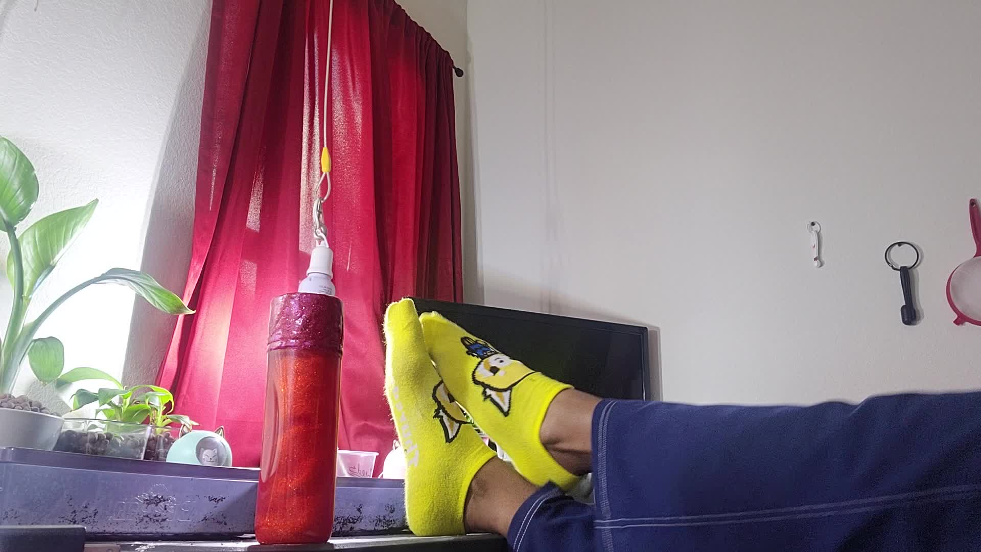 My Cute Yellow Socks