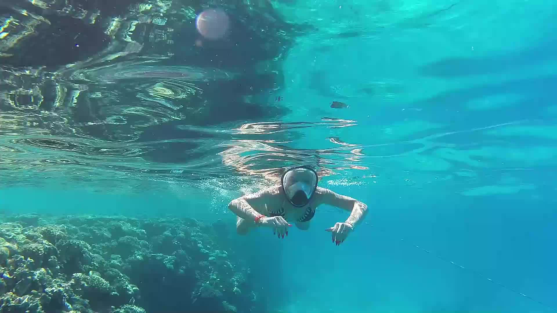 Scubba Diving, Pussy, Ass Flashing Under Water
