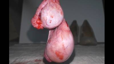Real Testicles Devastated!