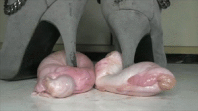 Skinned Testicles