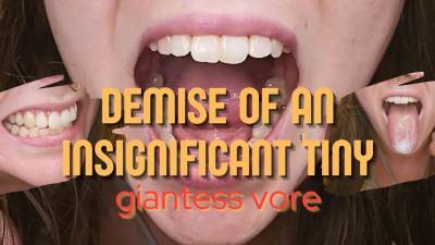 Demise Of An Insignificant Tiny