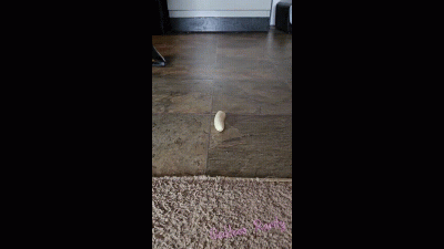 010-Stepping On Things Bundle