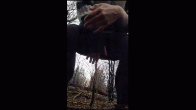 Blessing The Land With Golden Rain