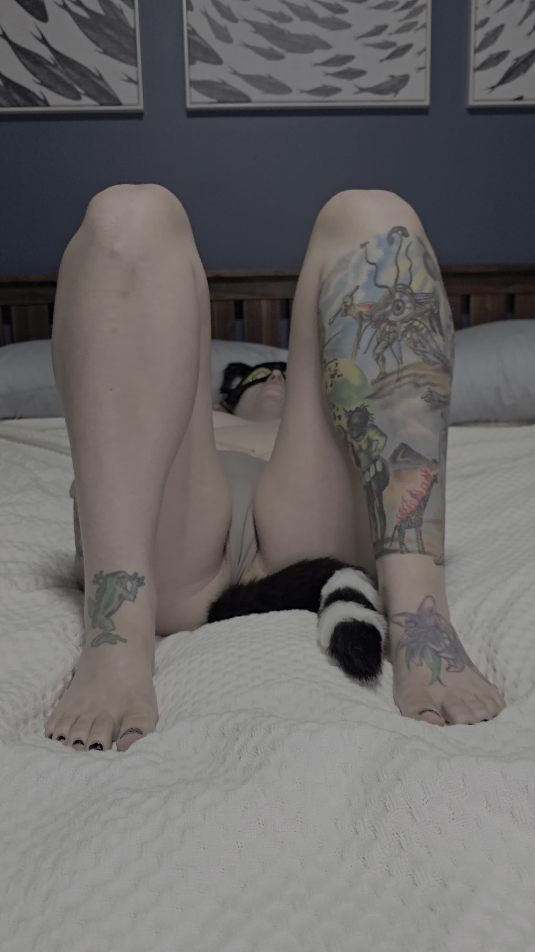 Cat Tail Plug And Masturbation! It Has It All!