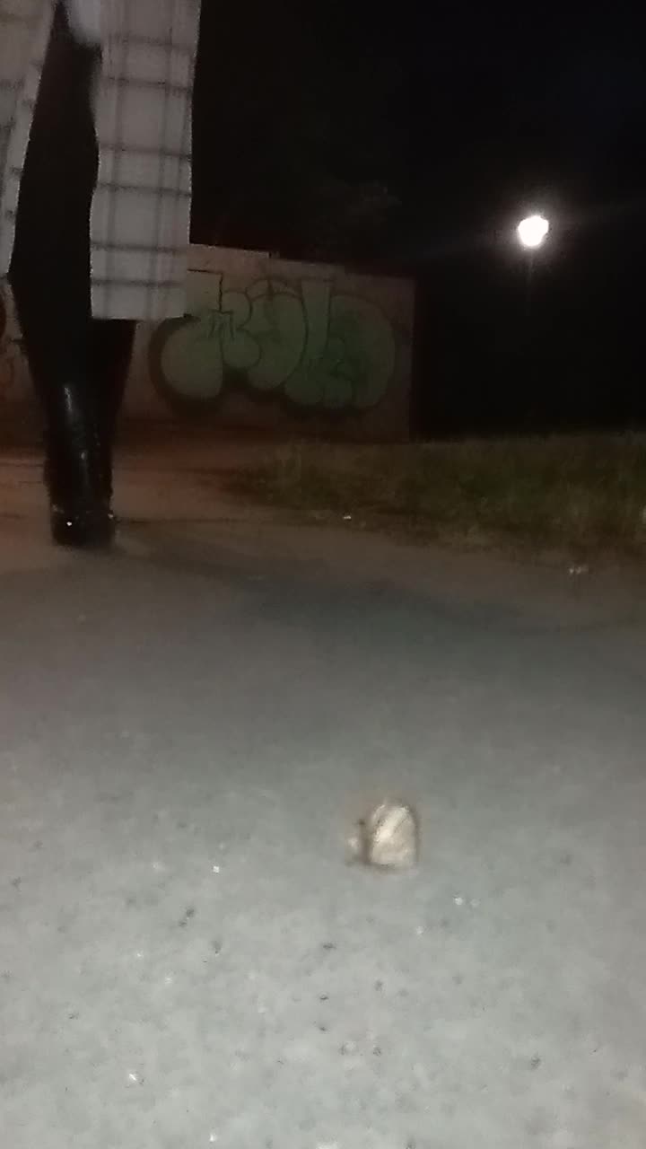 Snail Crushing With Boots