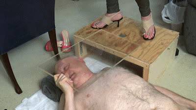 Face Trampling Under Plexiglas