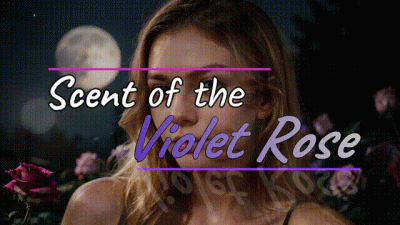 Scent Of The Violet Rose