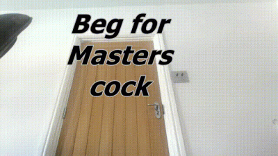 Beg For Masters Cock