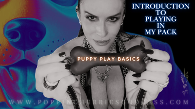 Puppy Play Basics Introduction To Playing In My Pack