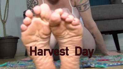 Harvest Day