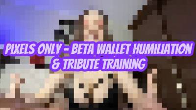 Pixels Only- Beta Wallet Humiliation & Tribute Training