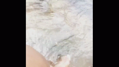 Creek Vibes