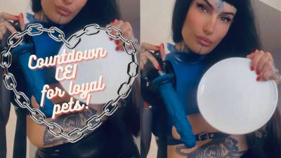 Cum Eating Instructions - CEI - Porn Video Clips For Sale at ...