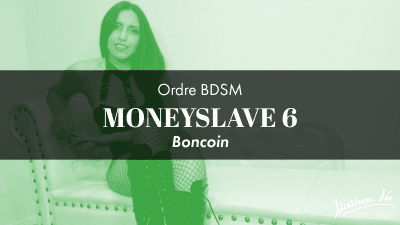 Ordre Moneyslave 6 * Boncoin
