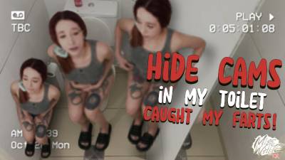 Hide Cams In My Bathroom Caught My Farts!