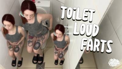 Toilet Farts