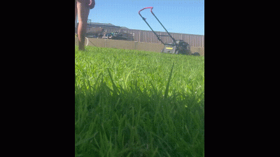 Mowing The Lawn