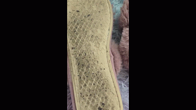 Slipper Humiliation