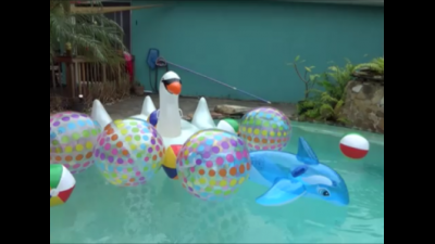 Behind The Scenes Of Inflatable Madness