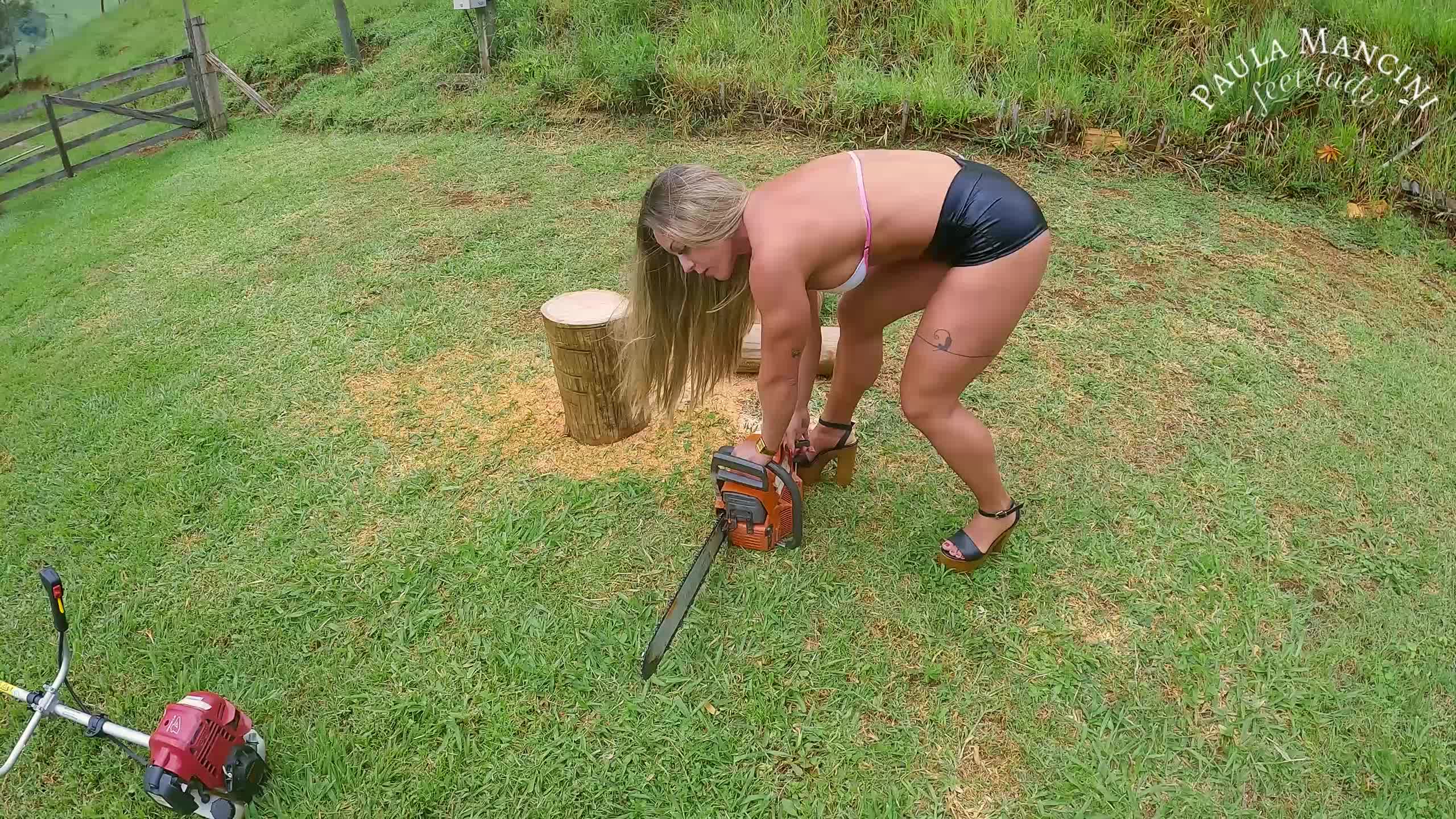 Cranking Seduction- Pull, Paula*