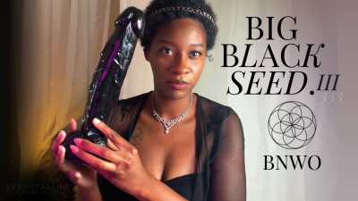 Big Black Seed 3