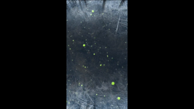 Birthday Dildo Play With Sapphira