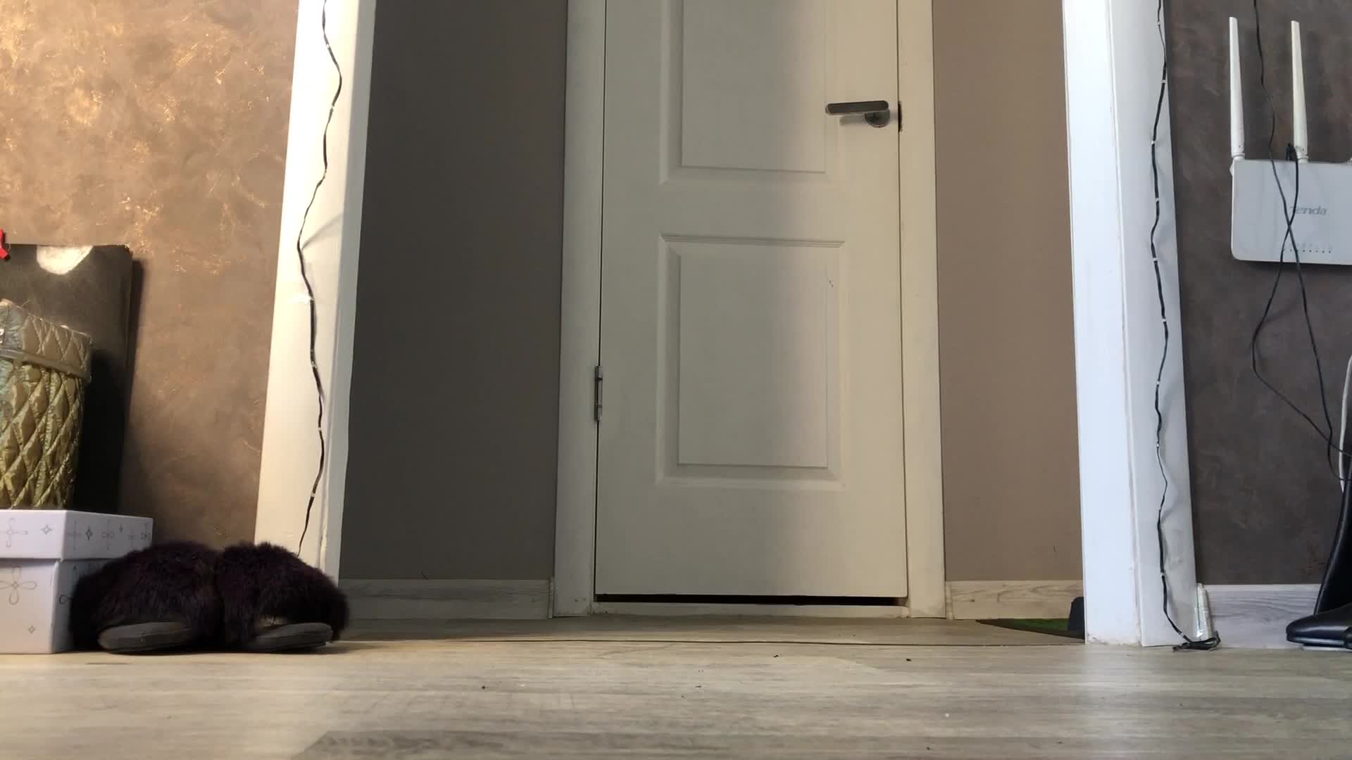 Giantess Woman Back To Home!