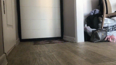 Sneakers, Socks, Feet!