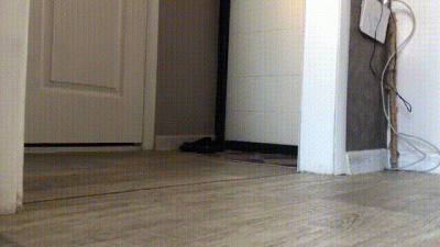 Sneakers, Fishnets, Feet Tease!