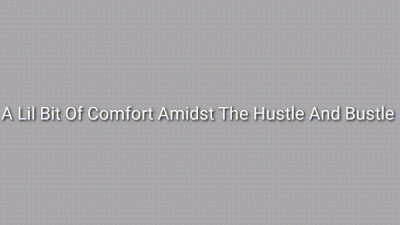 A Lil Bit Of Comfort Amidst The Hustle & Bustle