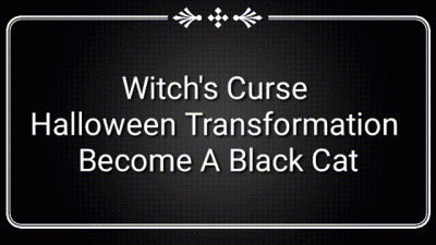 Witch's Curse Halloween Transformation: Become A Black Cat