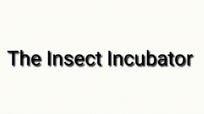 The Insect Incubator Trance