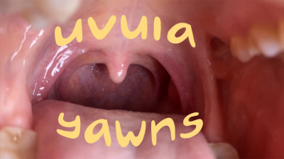 Uvula & Yawning