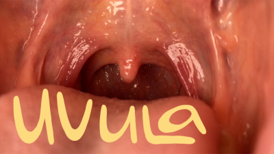 Uvula Fetish II