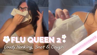Flu Queen 2: Loudy Honking, Snot And Cough