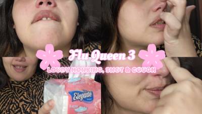 Flu Queen 3: Loudy Honking, Snot And Cough