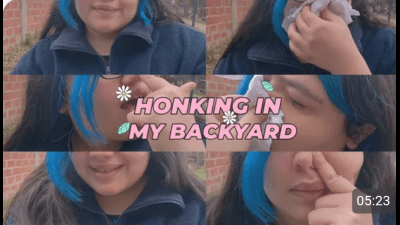 Honking In My Backyard