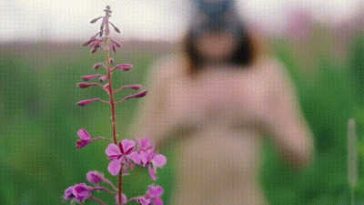 Outdoors Blowjob