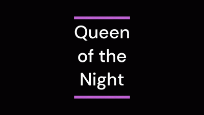 Whimper For Me, Bitch JOI