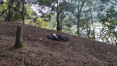 Forest Adventures