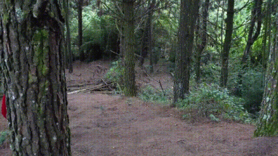 Creepy Little Red Riding Hood