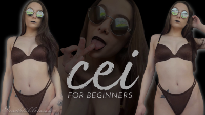 CEI For Beginners
