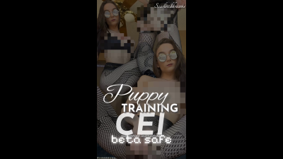 Puppy Training CEI Beta Safe