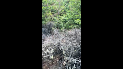 Outdoor Pee In The Rain