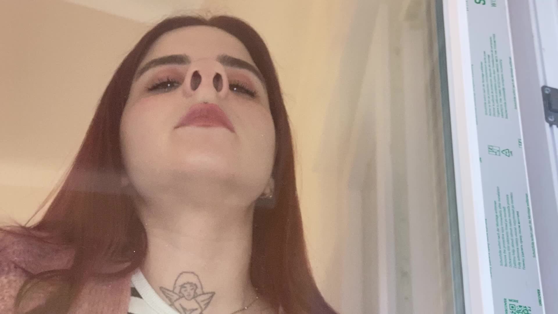 Nose Smushing Against The Glass