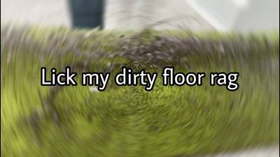 Lick My Dirty Floor Rag After I've Cleaned The Floor And Swallow My Spit, You Pathetic Floor-Cleaning Loser